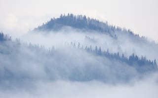 Картинка гора, природа, холм, лес, деревья, дерево, туман, дымка