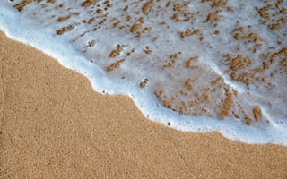 Картинка океан, море, вода, природа, берег, побережье, песок, песчаный, пляж, волна