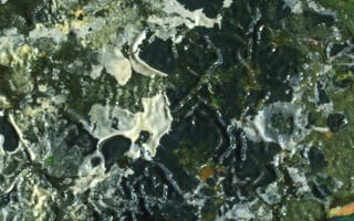 Картинка краска, текстурный, текстурные, текстура, текстуры, макро, крупный план
