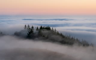 Картинка природа, гора, лес, деревья, дерево, вечер, закат, заход, туман, дымка