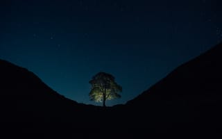 Картинка дерево, природа, гора, ночь, темнота, темный