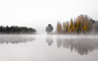 Картинка озера, озеро, природа, вода, пейзаж, лес, деревья, дерево, отражение, осень