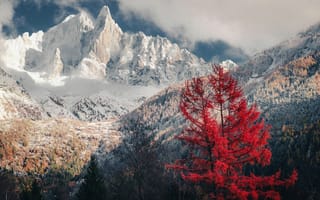Картинка Альпы, горы, гора, природа, пейзаж, осень, лес, деревья, дерево