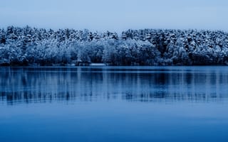 Картинка зима, зимние, время года, сезоны, сезонные, пейзаж, природа, лес, деревья, дерево, озеро, пруд, вода, вечер