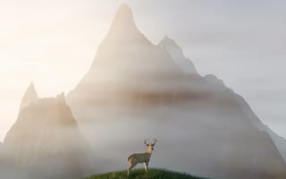 Картинка олень, животные, животное, природа, гора, луг, утро, утренний, рассвет, восход, туман, дымка