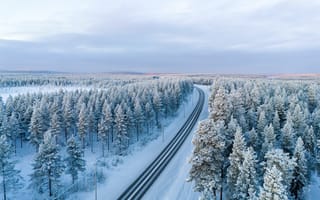 Картинка зима, зимние, время года, сезоны, сезонные, лес, деревья, дерево, природа, дорога, Финляндия