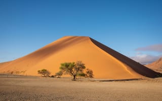 Картинка пустыня, песок, песчаный, дюна, засушливый, холм, бархан, природа, дерево, пейзаж