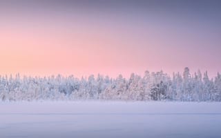 Картинка зима, зимние, время года, сезоны, сезонные, снег, белый, пейзаж, природа, лес, деревья, дерево, вечер, закат, заход