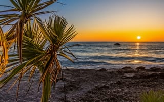 Картинка океан, море, вода, природа, берег, побережье, пляж, пальма, дерево, тропики, тропический, вечер, закат, заход, солнце