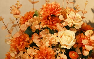 Картинка роза, цветок, цветы, растение, растения, цветочный, букет, оранжевый