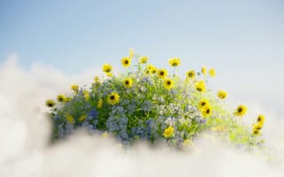 Картинка подсолнух, цветок, цветы, растение, растения, цветочный, арт, рисунок, облака, туча, облако, тучи, небо