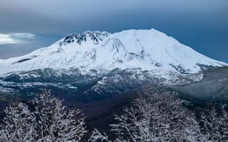 Картинка горы, гора, природа, вершина, лес, деревья, дерево, зима, снег