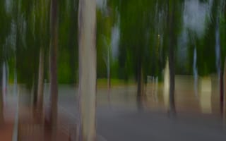 Картинка природа, дерево, размытость, размытый, блюр