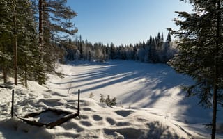 Картинка зима, зимние, время года, сезоны, сезонные, снег, иней, изморозь, белый, пейзаж, природа, лес, деревья, дерево