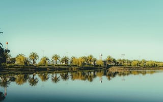 Картинка пальма, дерево, лето, летние, тропики, тропический, озеро, пруд, вода