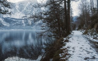 Картинка зима, зимние, время года, сезоны, сезонные, природа, пейзаж, лес, деревья, дерево, гора