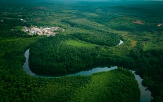Картинка река, природа, пейзаж, лес, деревья, дерево