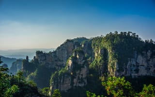 Картинка горы, гора, природа, скала, лес, деревья, дерево