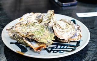 Картинка устрица, блюдо, деликатес, еда, вкусная
