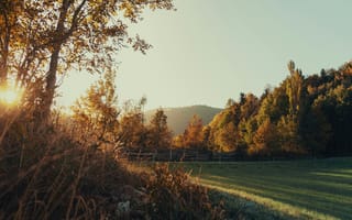 Картинка осень, осенние, время года, сезоны, сезонные, лес, деревья, дерево, природа, поле, вечер, закат, заход