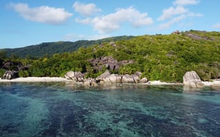 Картинка океан, море, вода, природа, берег, побережье, скала, лес, деревья, дерево, тропики, тропический