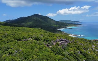 Картинка океан, море, вода, природа, берег, побережье, гора, лес, деревья, дерево, пейзаж