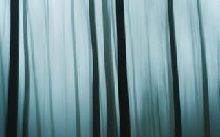 Картинка лес, деревья, дерево, природа, размытость, размытый, блюр, ночь