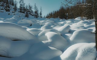 Картинка зима, зимние, время года, сезоны, сезонные, снег, природа, лес, деревья, дерево