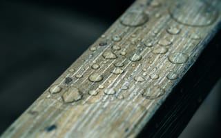 Картинка трава, растение, лист, природа, свежий, капля, капли, жидкость, влага, капли воды, капли дождя, дождь, макро, крупный план