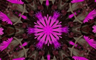 Картинка цветы, абстракция, узор, розовый, природа, красота, декор