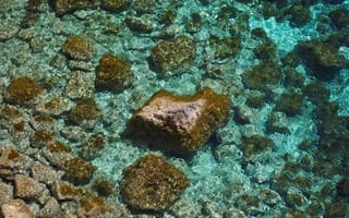 Картинка вода, камни, прозрачный, море, природа, пейзаж, отдых