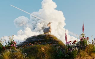 Картинка коза, цветы, природа, облака, пейзаж, горы, лето, животные, экология, красота