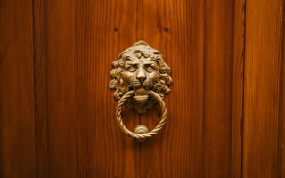 Картинка дверь, дверной молоток, лев, дерево, декор, архитектура, интерьер