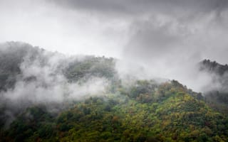 Картинка горы, облака, природа, туман, лес, пейзаж, осень