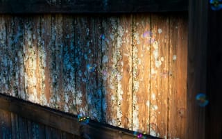 Картинка дерево, пузырьки, стена, природа, текстура, освещение, фотография