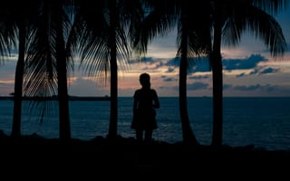 Картинка пейзаж, закат, море, силуэт, пальмы, девушка, отдых