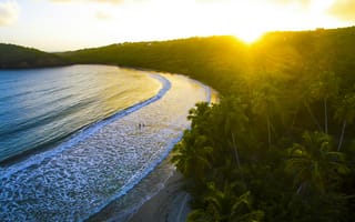 Картинка пляж, закат, море, пальмы, природа, пейзаж, отдых