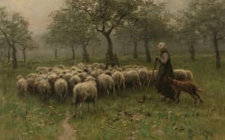 Картинка овцы, пейзаж, фермер, собака, природа, деревья, трава