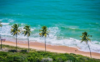 Картинка пляж, море, пальмы, природа, отдых, пейзаж, лето