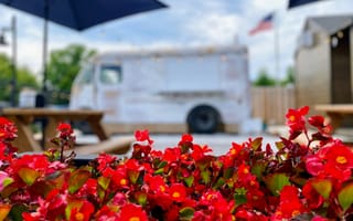 Картинка фудтрак, цветы, лето, улица, пейзаж, отдых, досуг