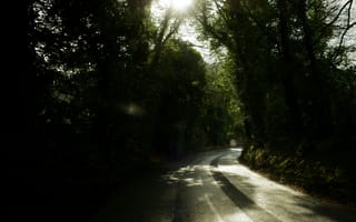 Картинка дорога, природа, лес, свет, пейзаж, зеленый, освещение