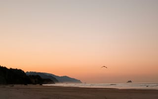 Картинка пляж, закат, море, природа, пейзаж, птица, горы