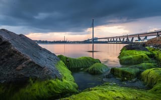 Картинка река, мост, камни, природа, пейзаж, водоросли, небо, город, отражение, зеленый