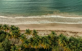 Картинка пляж, море, пальмы, природа, отдых, пейзаж, воды