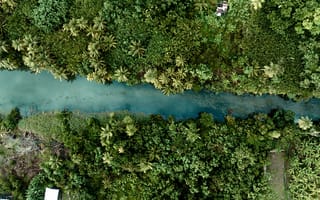 Картинка природа, река, лес, пейзаж, зелень, водоем, тропики, отдых, экзотика