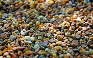 Картинка камни, галька, природа, фоновое, текстура, земля, пейзаж