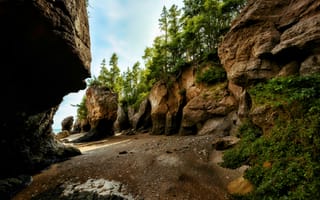 Картинка природа, скалы, лес, пляж, пейзаж, камни, отдых