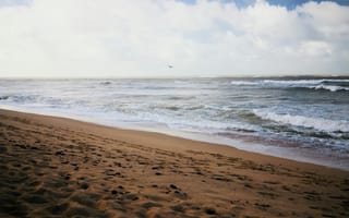 Картинка море, пляж, песок, волны, небо, природа, отдых