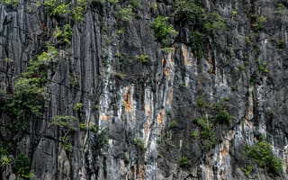 Картинка скалы, природа, растительность, ландшафт, камни, горы, фотография