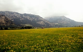 Картинка пейзаж, горы, цветы, луга, природа, небо, зеленый